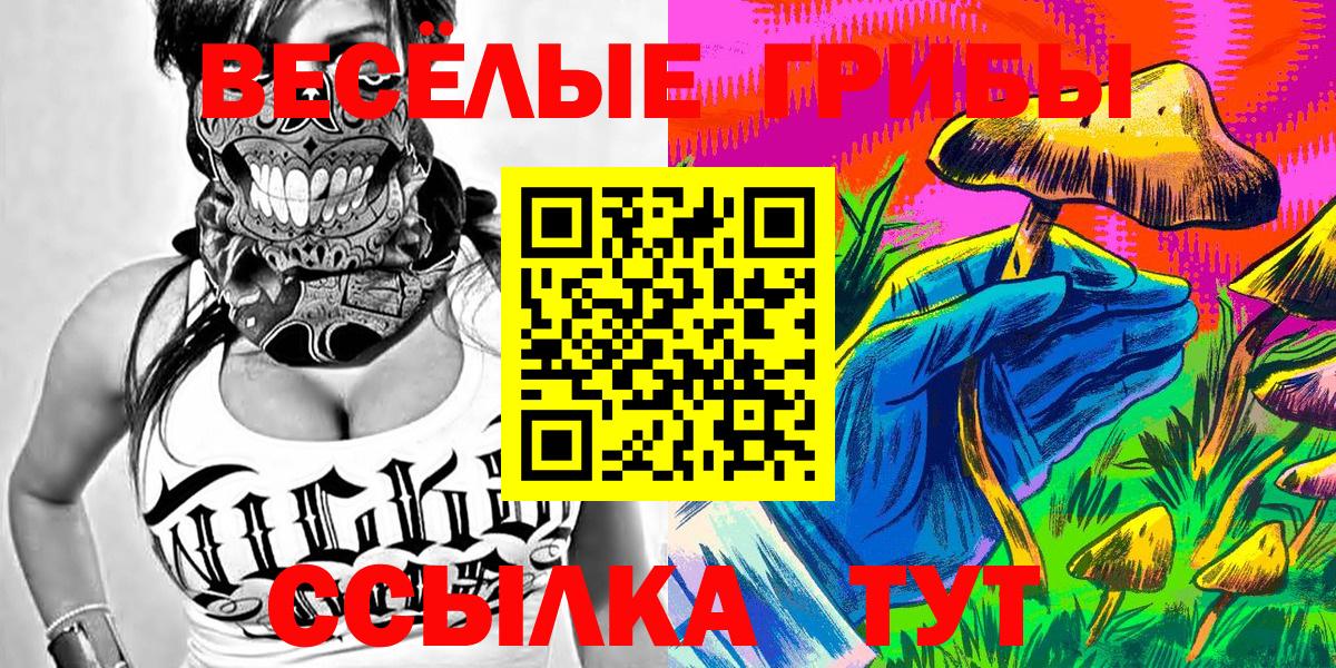 Звенигород  Псилоцибиновые грибы мухоморы  Вход с VPN 