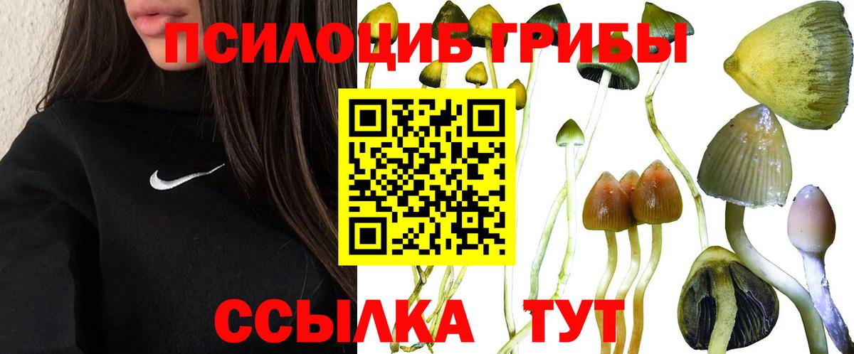 Псилоцибиновые грибы прущие грибы Звенигород