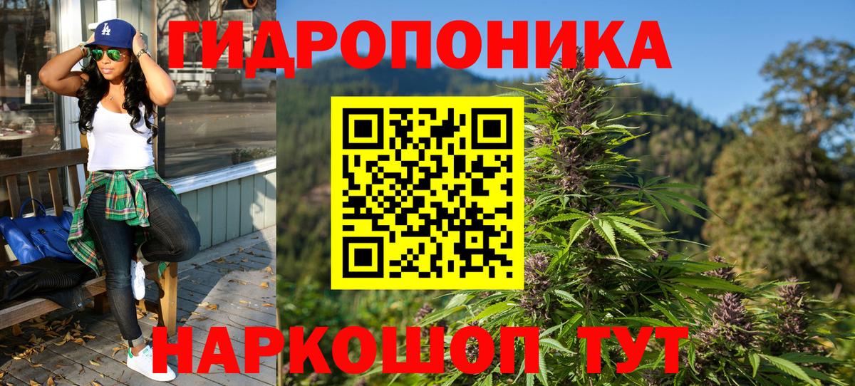 Конопля Ganja Звенигород