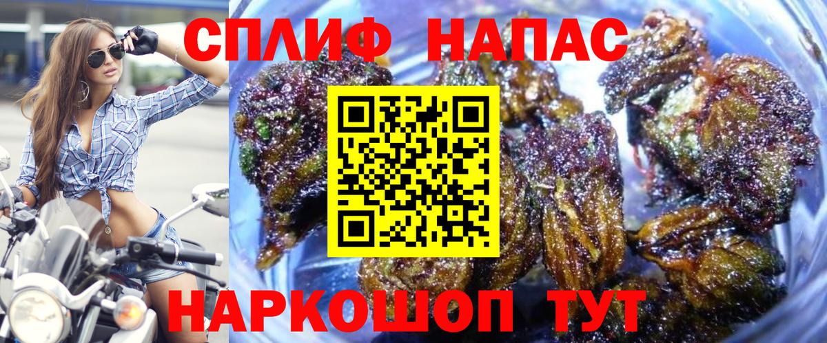 Конопля MAZAR  Конопля гибрид  Звенигород  Вход с VPN 
